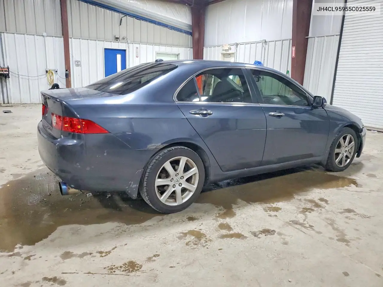 2005 Acura Tsx VIN: JH4CL95955C025559 Lot: 60234196