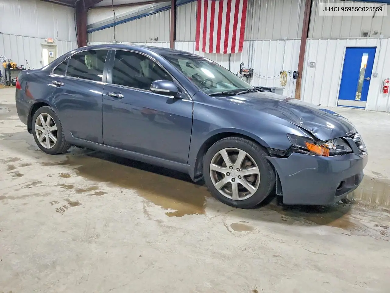 2005 Acura Tsx VIN: JH4CL95955C025559 Lot: 60234196