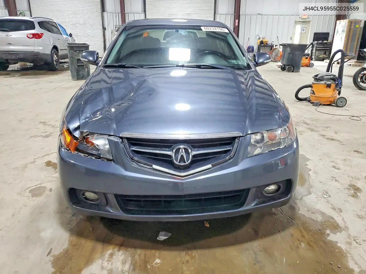 2005 Acura Tsx VIN: JH4CL95955C025559 Lot: 60234196