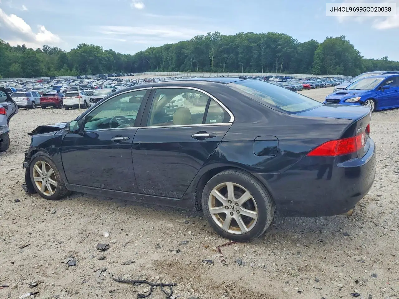 2005 Acura Tsx VIN: JH4CL96995C020038 Lot: 60498476