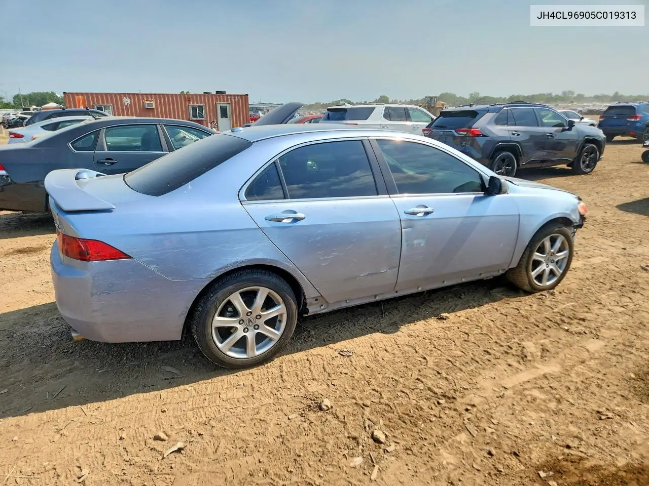 2005 Acura Tsx VIN: JH4CL96905C019313 Lot: 61308136