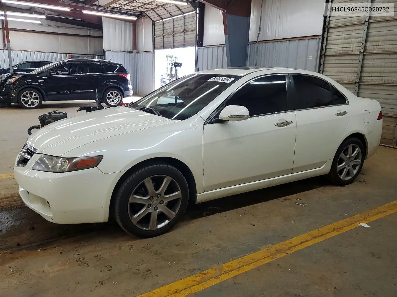 2005 Acura Tsx VIN: JH4CL96845C020732 Lot: 61861086