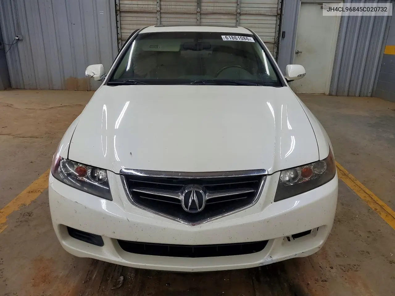 2005 Acura Tsx VIN: JH4CL96845C020732 Lot: 61861086