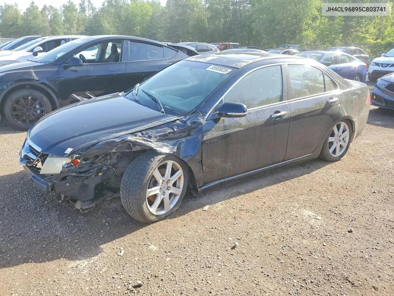 2005 Acura Tsx VIN: JH4CL96895C803741 Lot: 85989035