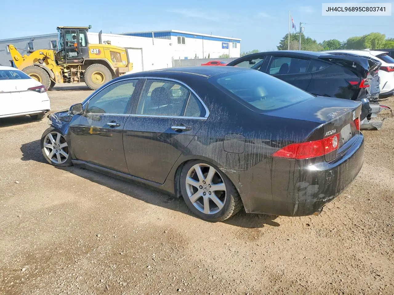 2005 Acura Tsx VIN: JH4CL96895C803741 Lot: 85989035