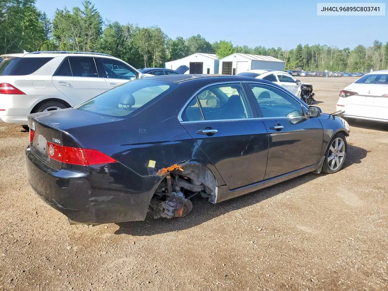 2005 Acura Tsx VIN: JH4CL96895C803741 Lot: 85989035