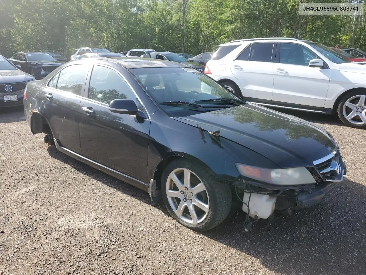 2005 Acura Tsx VIN: JH4CL96895C803741 Lot: 85989035