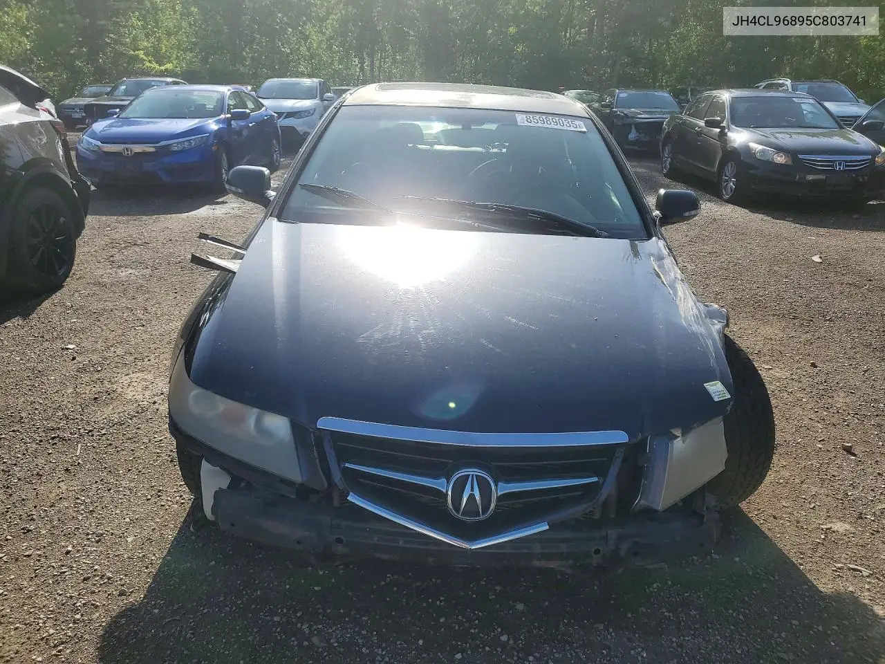 2005 Acura Tsx VIN: JH4CL96895C803741 Lot: 85989035