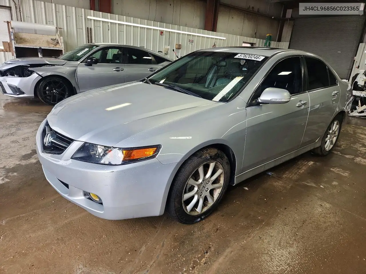 2006 Acura Tsx VIN: JH4CL96856C023365 Lot: 57620246