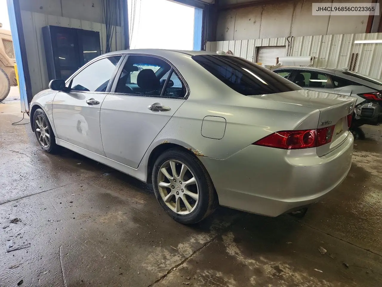 2006 Acura Tsx VIN: JH4CL96856C023365 Lot: 57620246