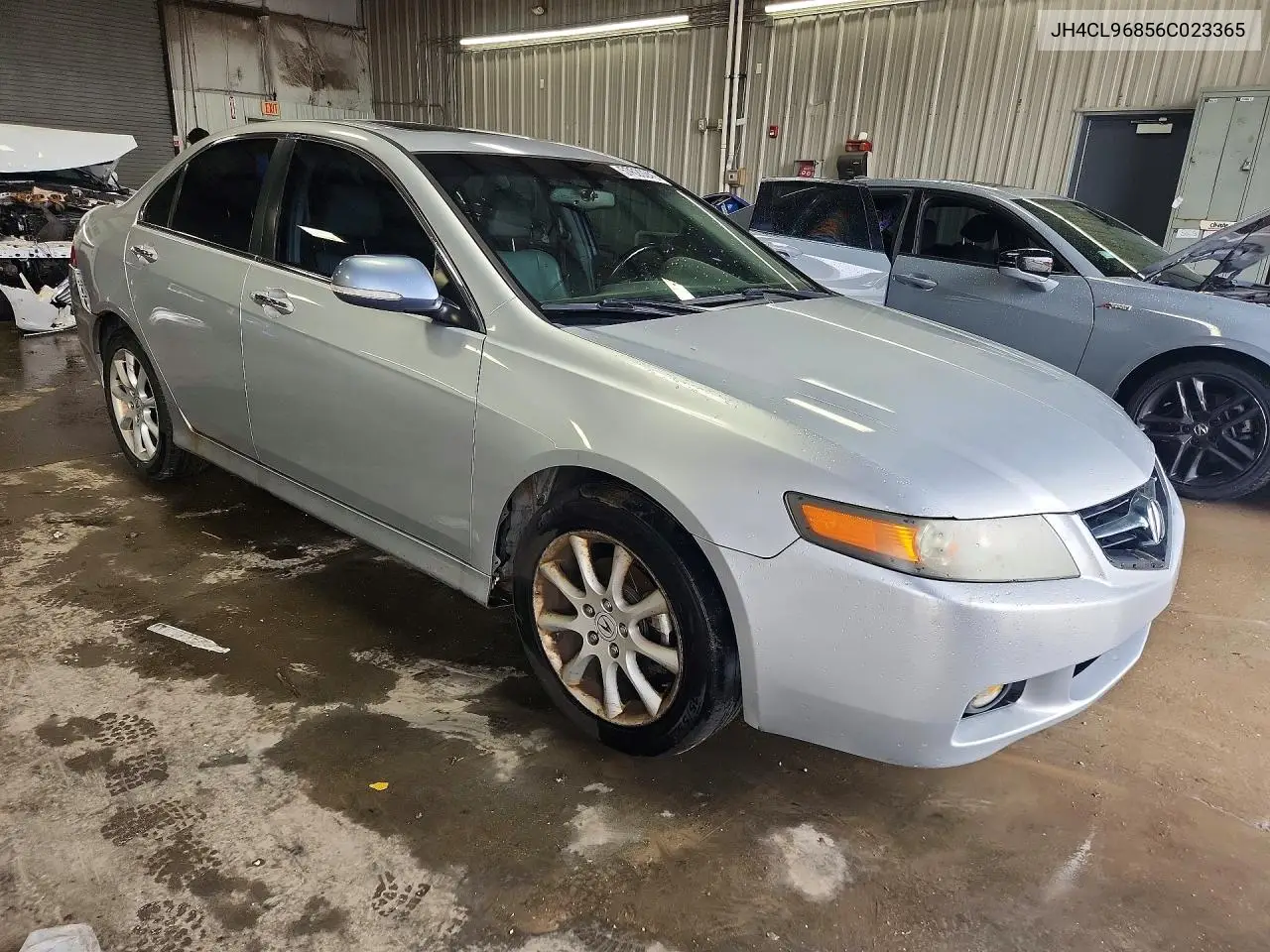 2006 Acura Tsx VIN: JH4CL96856C023365 Lot: 57620246