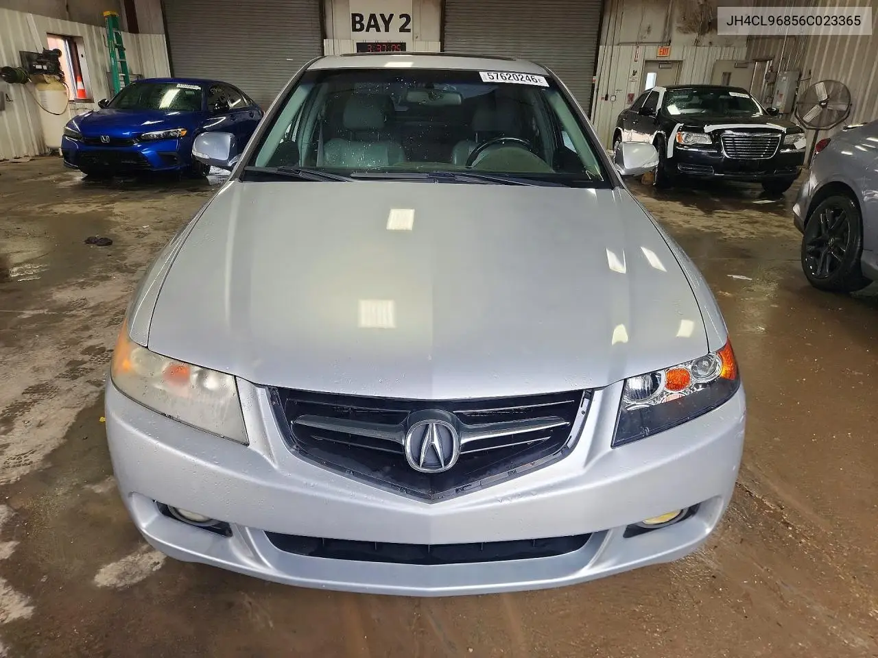 2006 Acura Tsx VIN: JH4CL96856C023365 Lot: 57620246