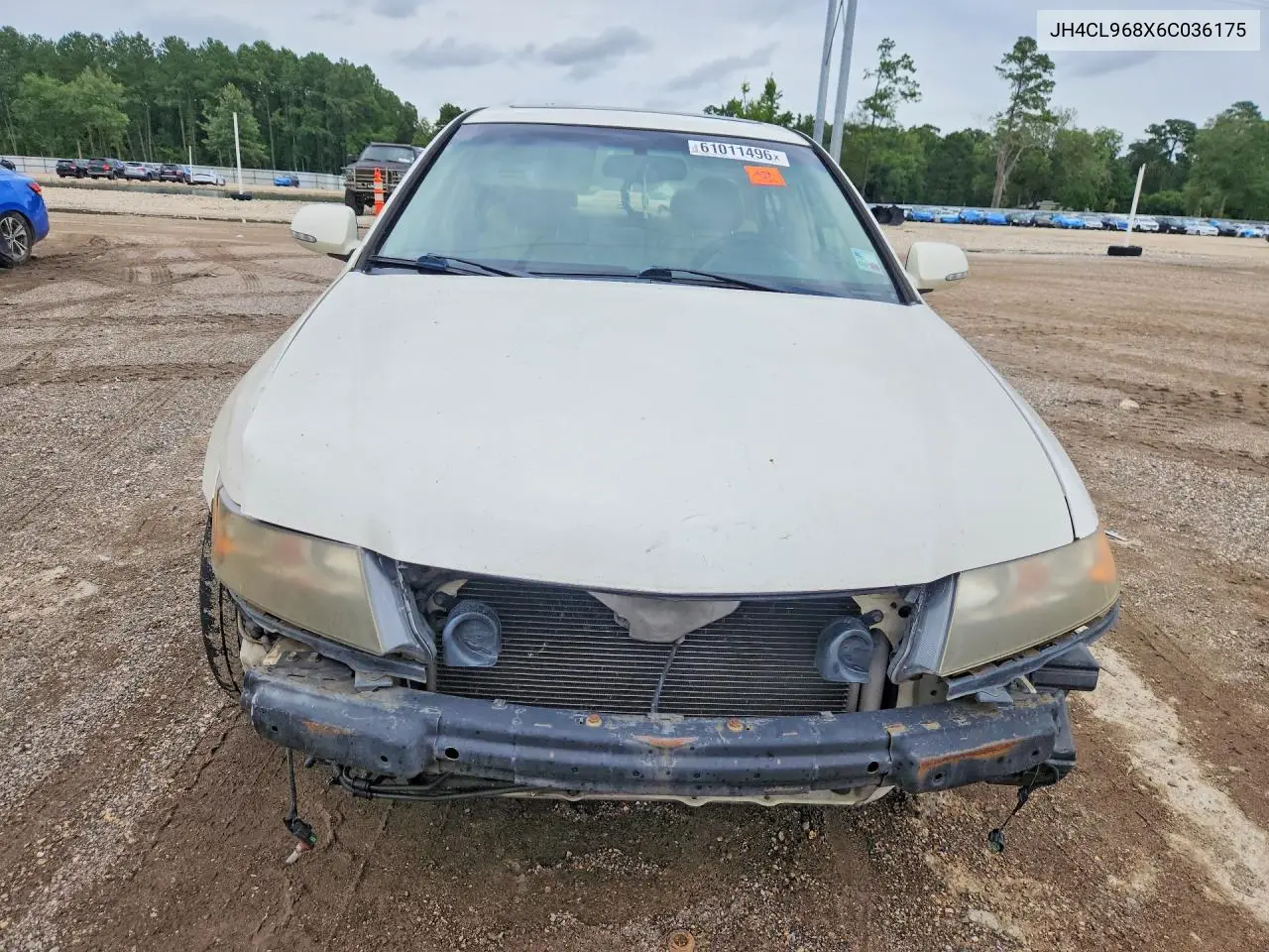 2006 Acura Tsx VIN: JH4CL968X6C036175 Lot: 61011496
