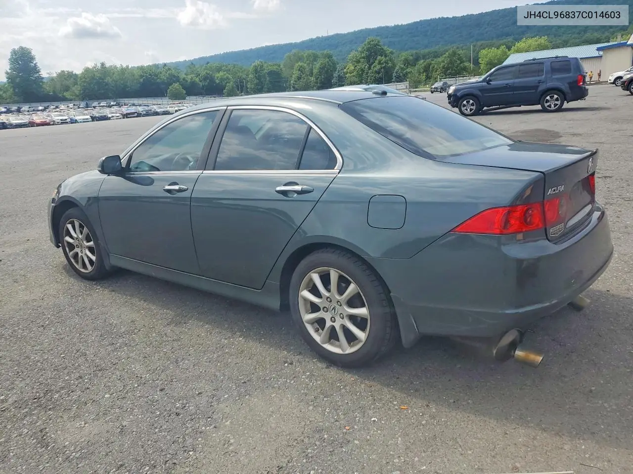 2007 Acura Tsx VIN: JH4CL96837C014603 Lot: 59300956