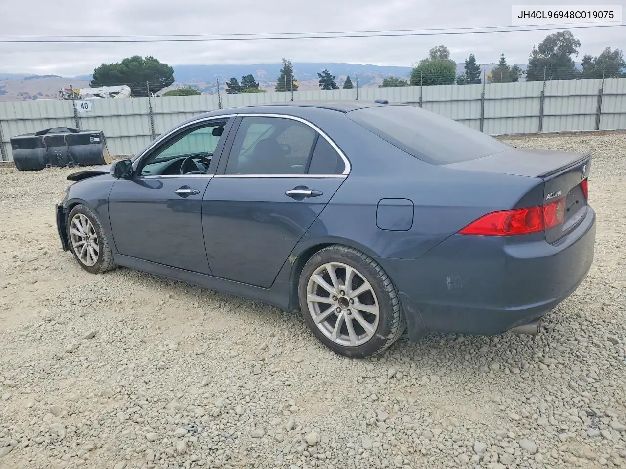 2008 Acura Tsx VIN: JH4CL96948C019075 Lot: 59727966