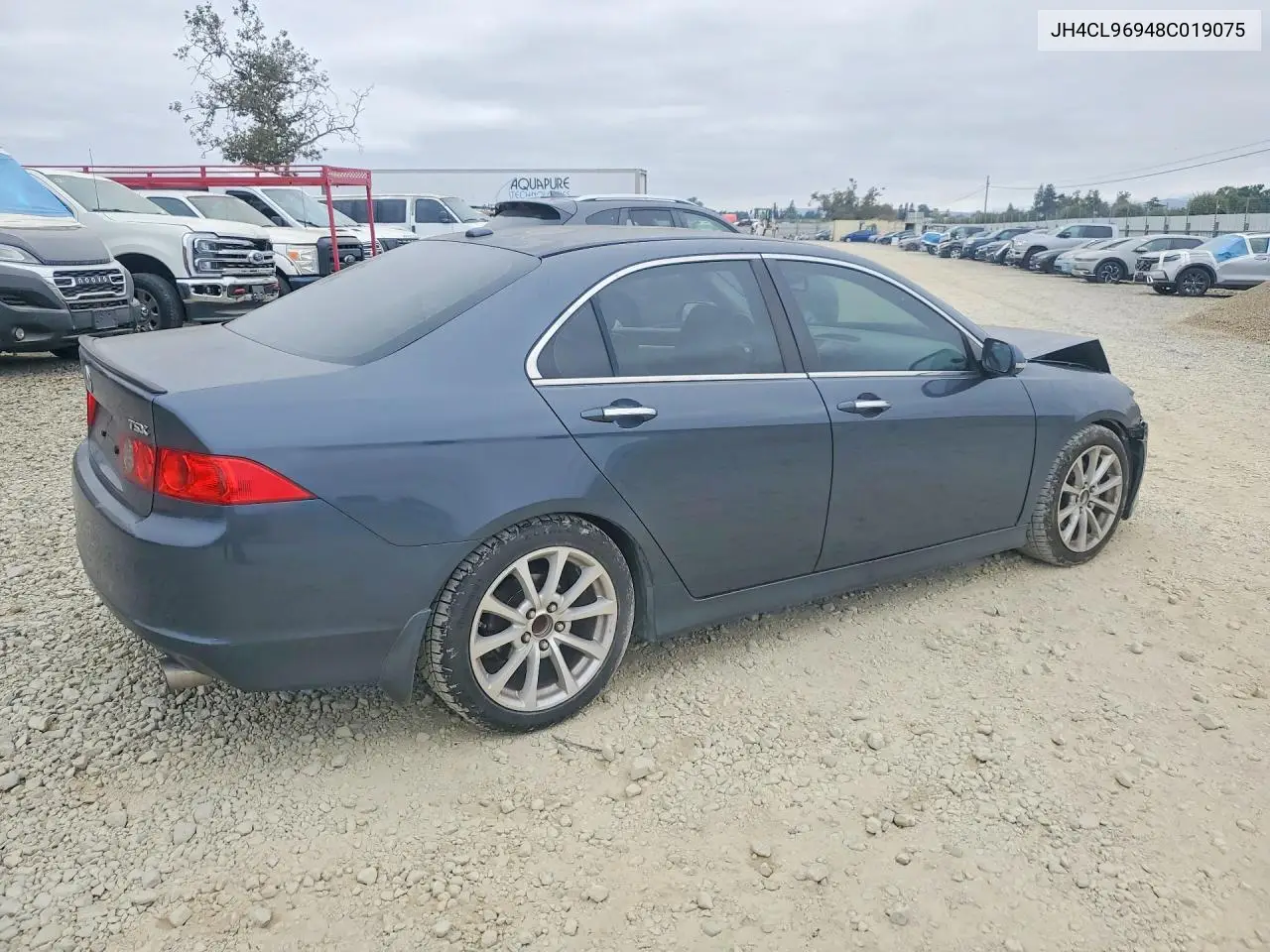 2008 Acura Tsx VIN: JH4CL96948C019075 Lot: 59727966