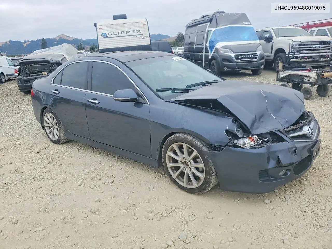 2008 Acura Tsx VIN: JH4CL96948C019075 Lot: 59727966