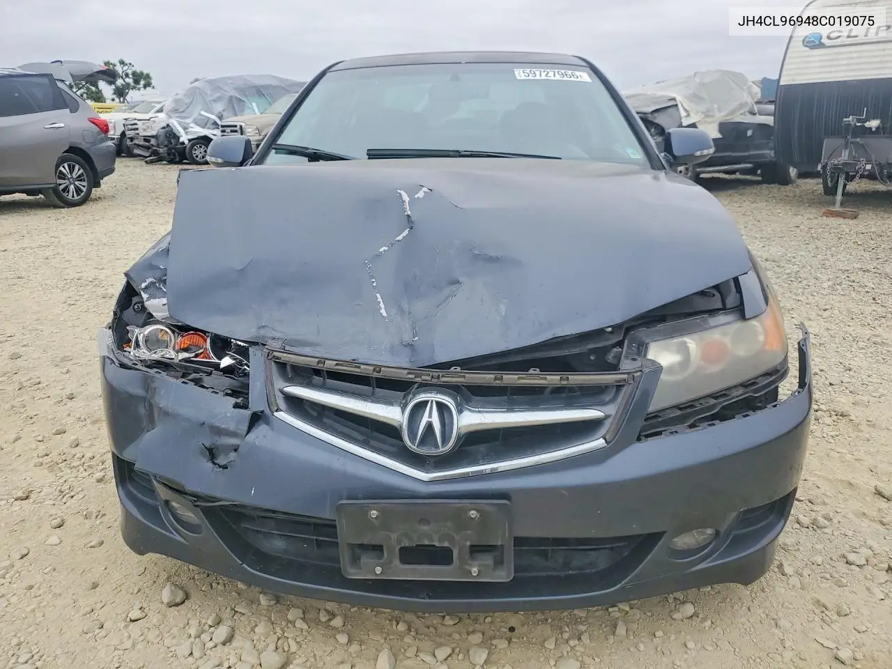 2008 Acura Tsx VIN: JH4CL96948C019075 Lot: 59727966