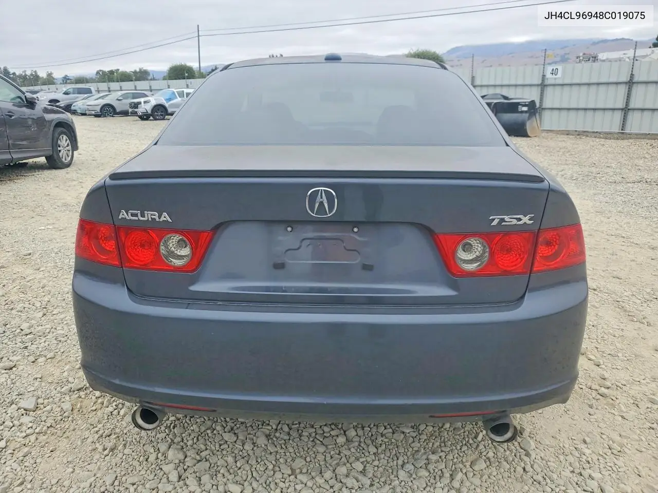 2008 Acura Tsx VIN: JH4CL96948C019075 Lot: 59727966