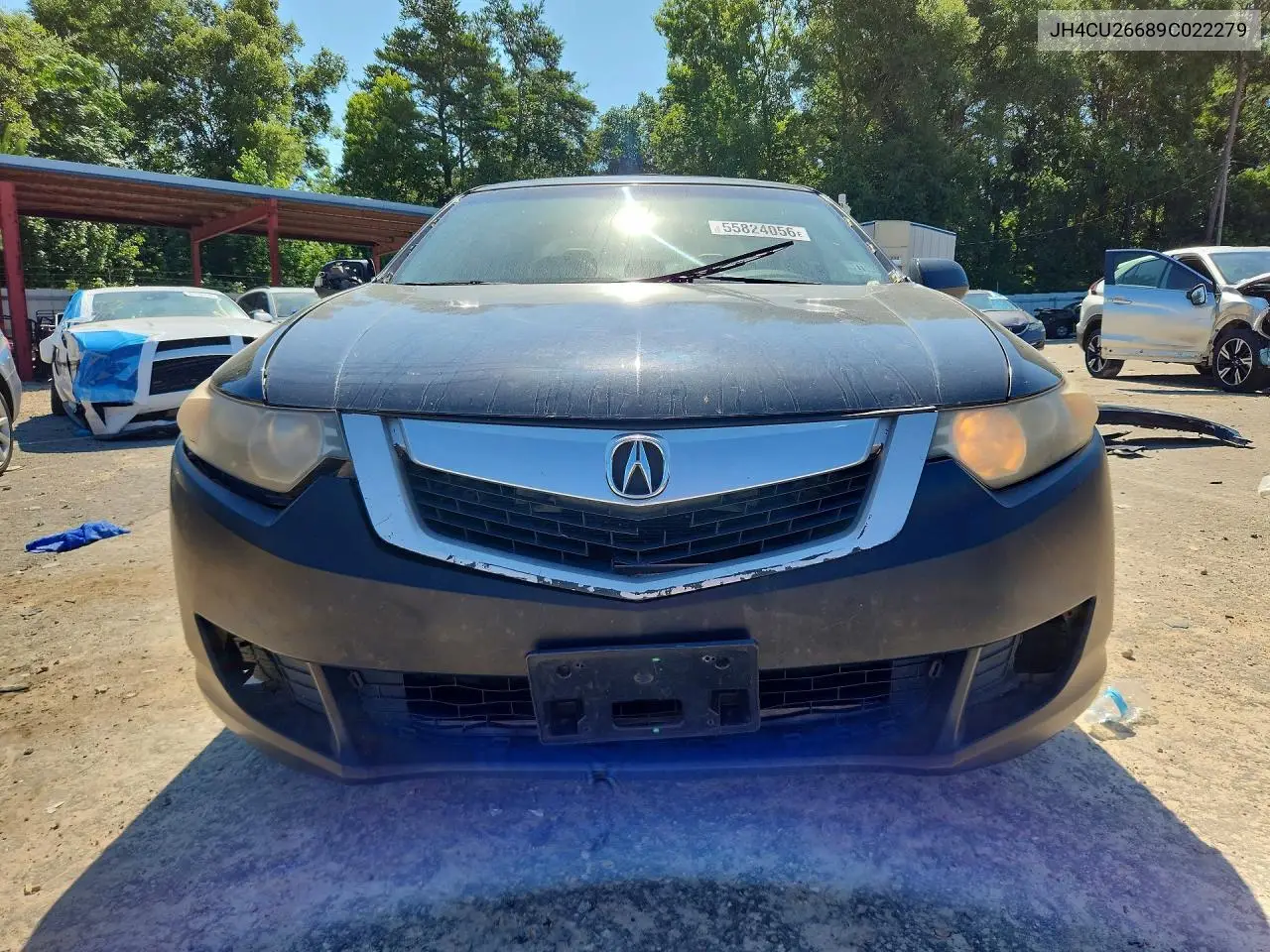 2009 Acura Tsx VIN: JH4CU26689C022279 Lot: 55824056