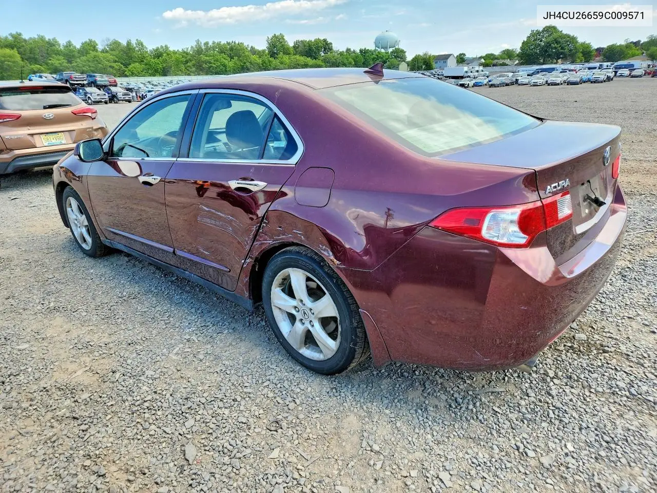 2009 Acura Tsx VIN: JH4CU26659C009571 Lot: 57864706