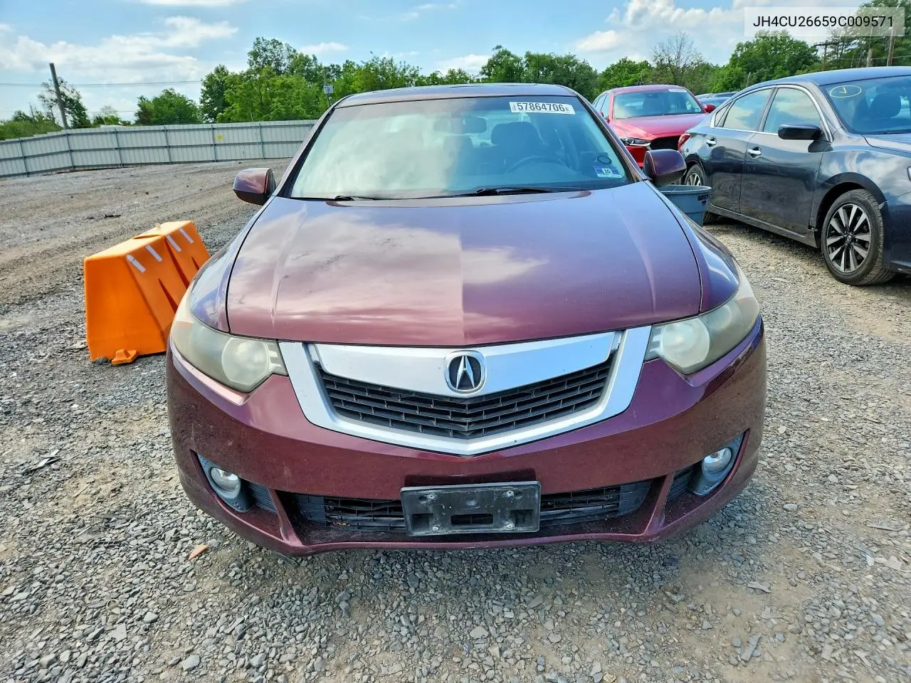 2009 Acura Tsx VIN: JH4CU26659C009571 Lot: 57864706