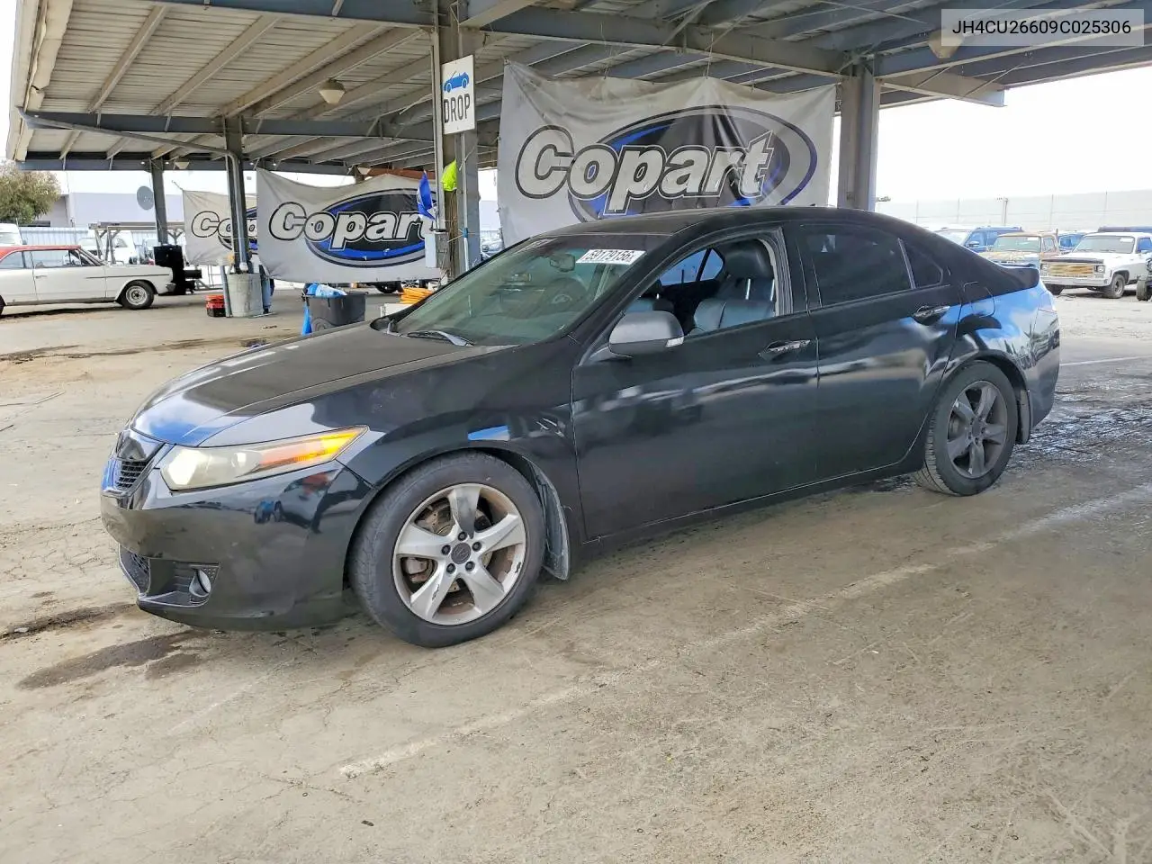 2009 Acura Tsx VIN: JH4CU26609C025306 Lot: 59179156