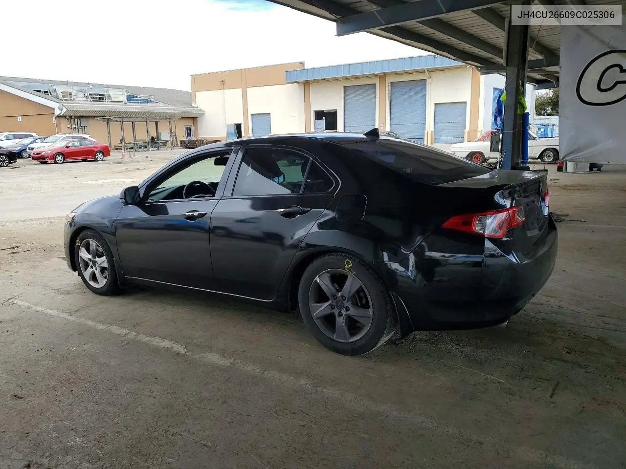 2009 Acura Tsx VIN: JH4CU26609C025306 Lot: 59179156