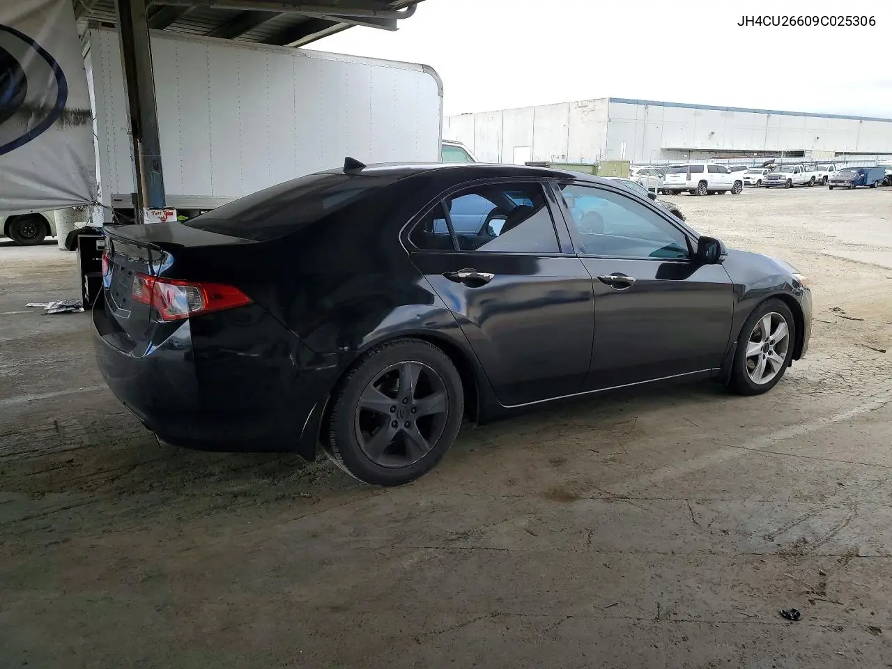 2009 Acura Tsx VIN: JH4CU26609C025306 Lot: 59179156
