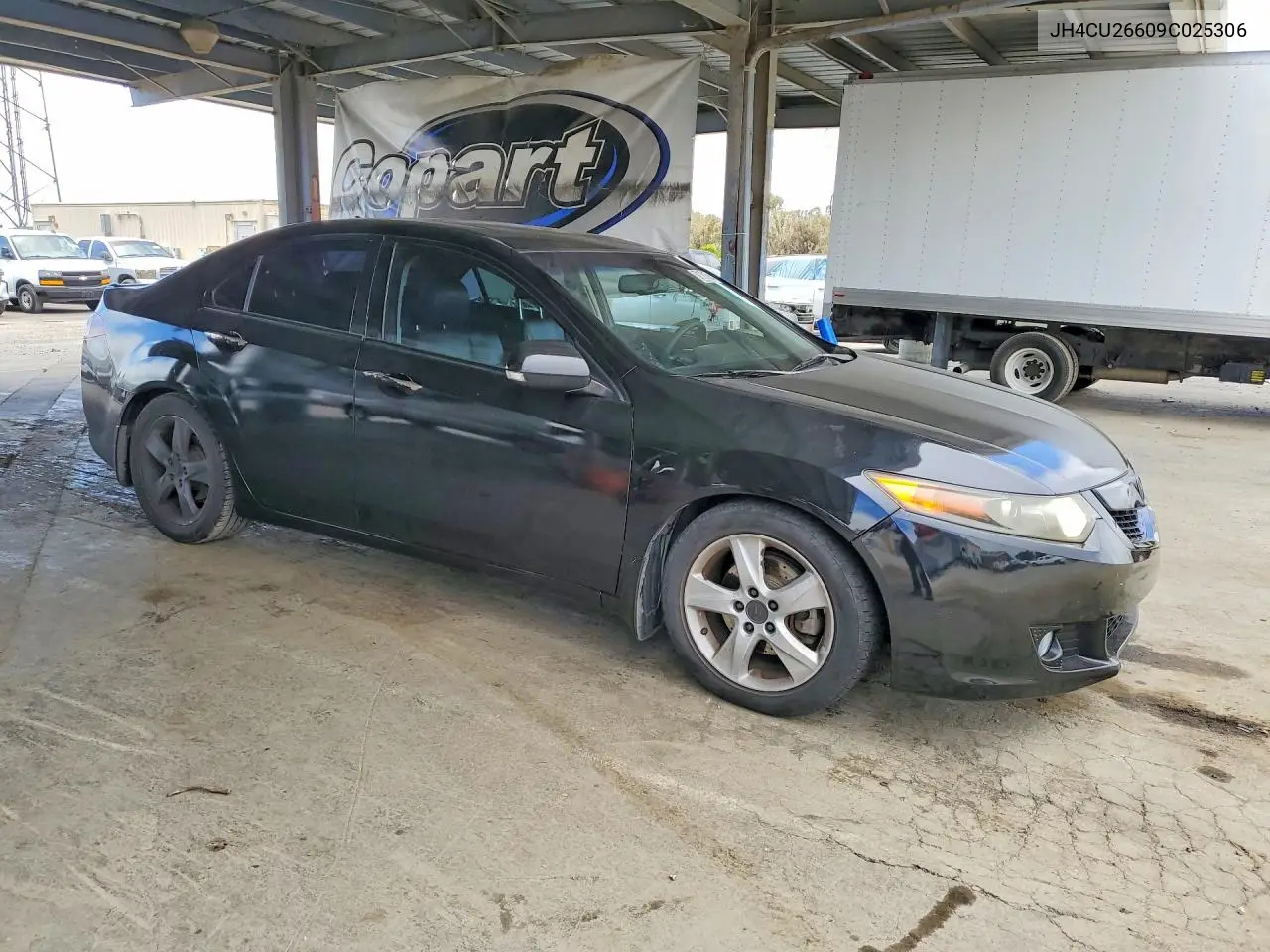 2009 Acura Tsx VIN: JH4CU26609C025306 Lot: 59179156