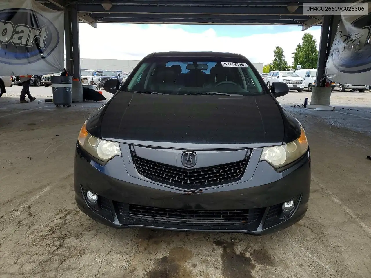 2009 Acura Tsx VIN: JH4CU26609C025306 Lot: 59179156