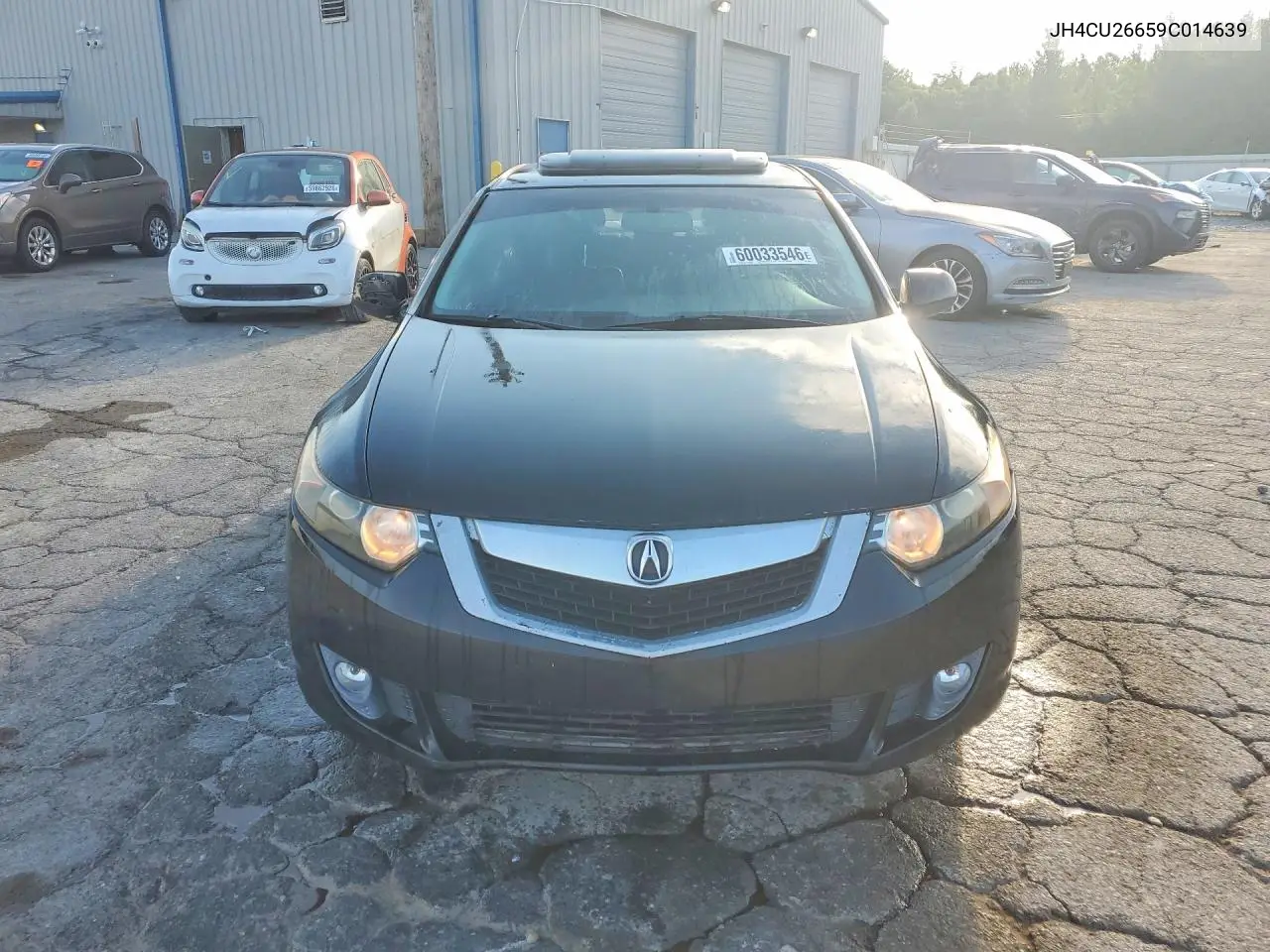 2009 Acura Tsx VIN: JH4CU26659C014639 Lot: 60033546