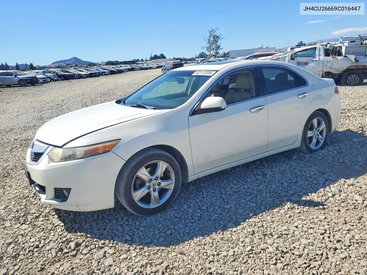 2009 Acura Tsx VIN: JH4CU26669C016447 Lot: 62112936