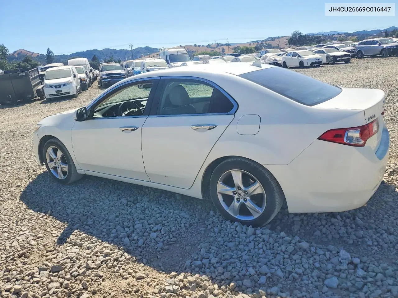 2009 Acura Tsx VIN: JH4CU26669C016447 Lot: 62112936