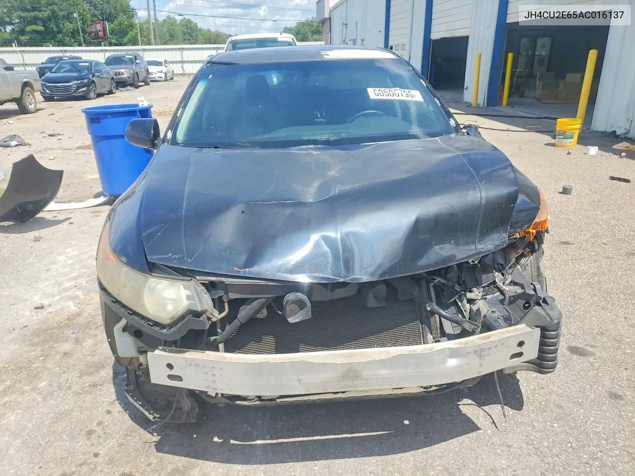 2010 Acura Tsx VIN: JH4CU2E65AC016137 Lot: 60506796