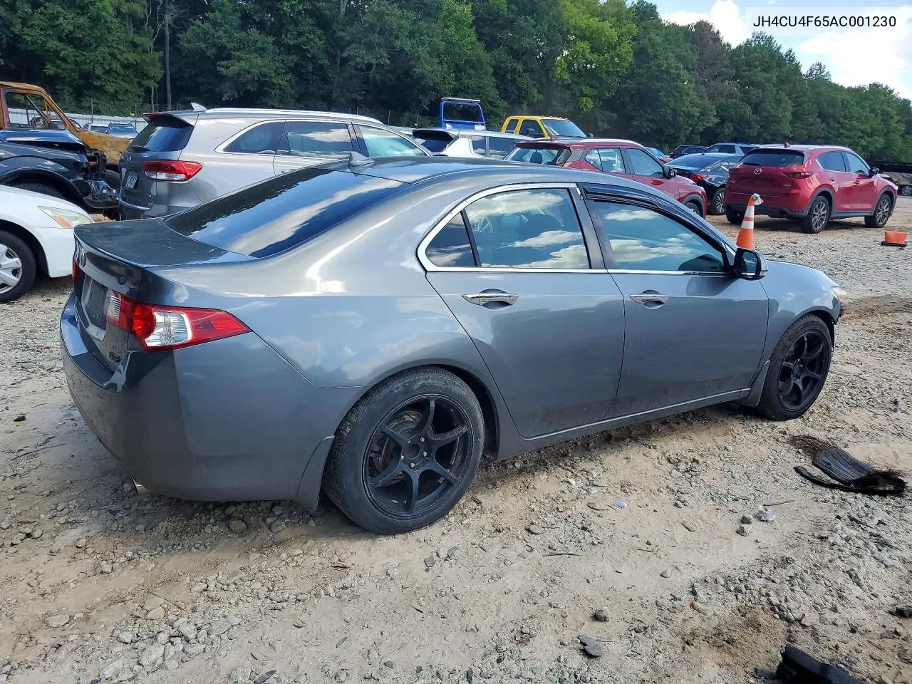 2010 Acura Tsx VIN: JH4CU4F65AC001230 Lot: 61731396