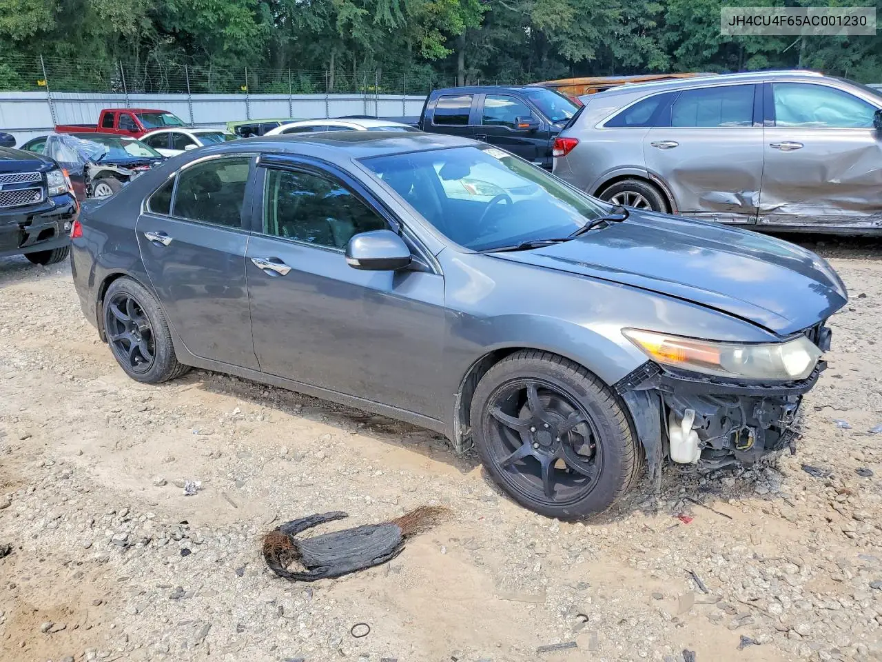 2010 Acura Tsx VIN: JH4CU4F65AC001230 Lot: 61731396