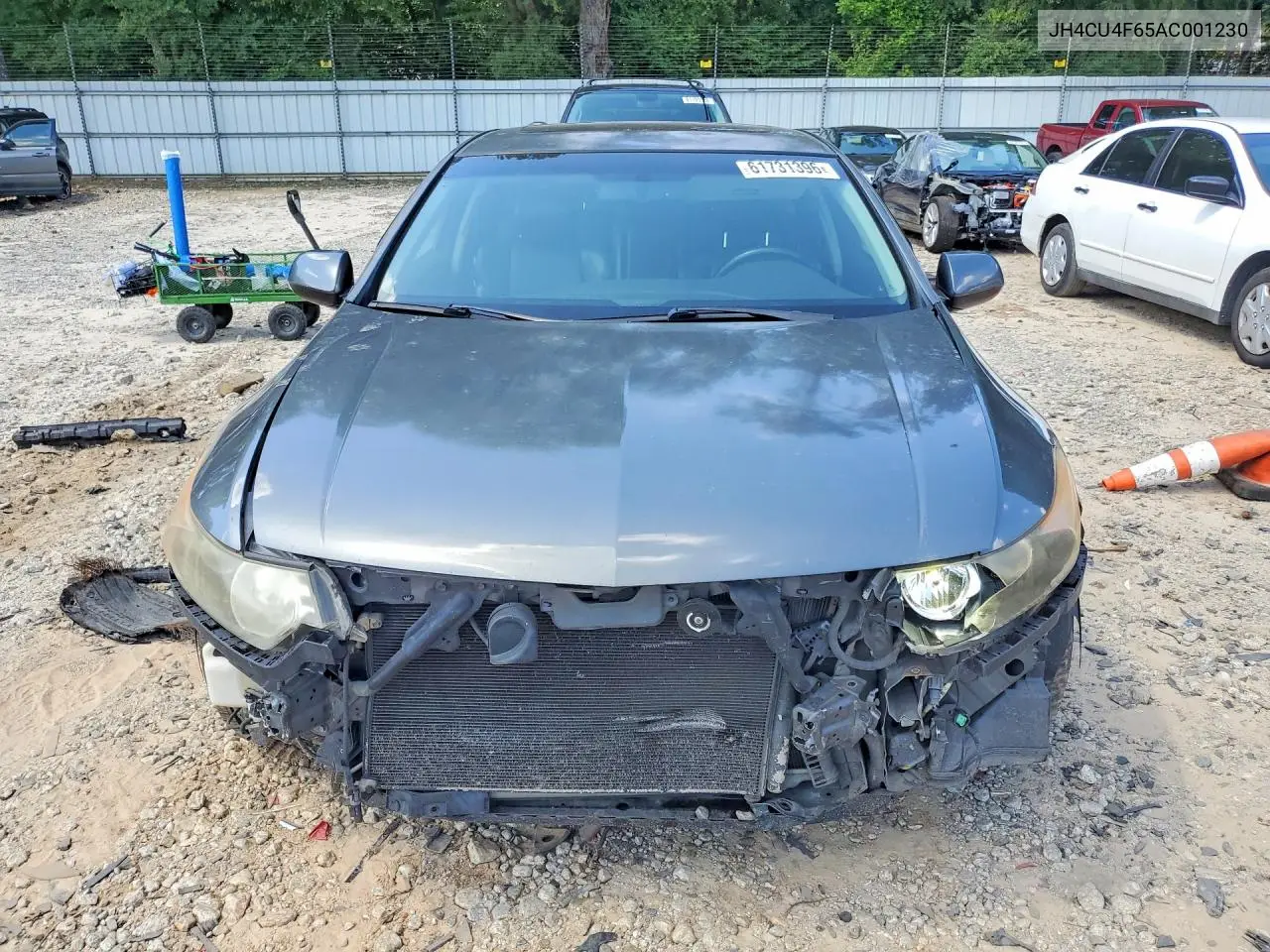2010 Acura Tsx VIN: JH4CU4F65AC001230 Lot: 61731396