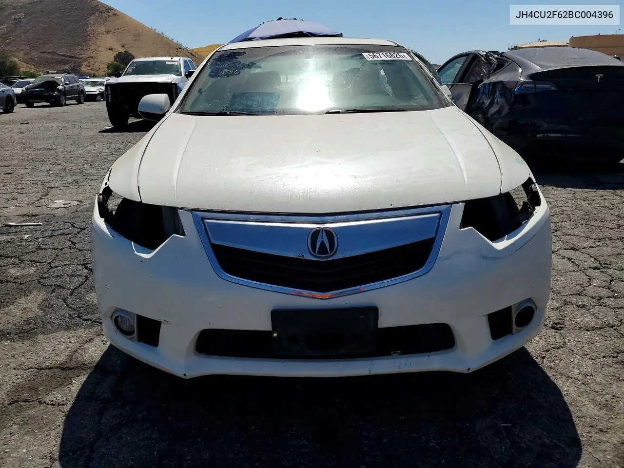 2011 Acura Tsx VIN: JH4CU2F62BC004396 Lot: 56716826