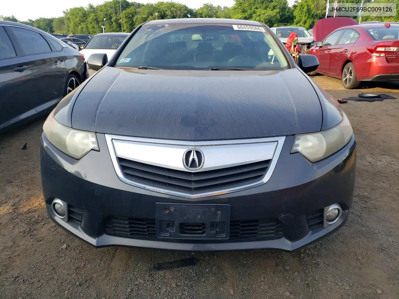 2011 Acura Tsx VIN: JH4CU2F69BC009126 Lot: 60459566