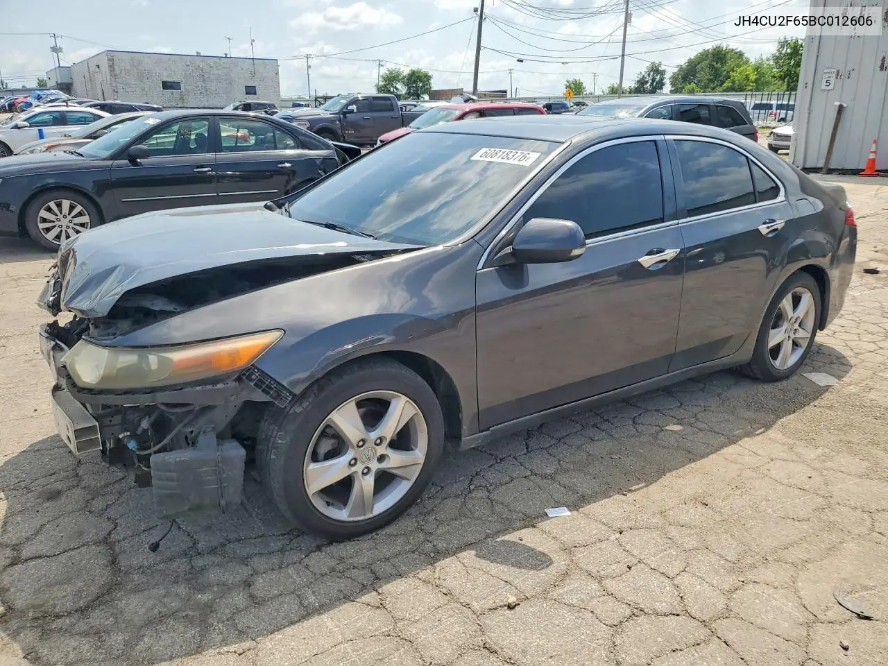 2011 Acura Tsx VIN: JH4CU2F65BC012606 Lot: 60818376
