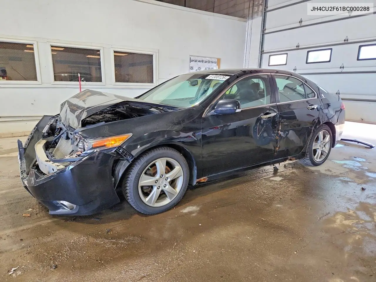 2011 Acura Tsx VIN: JH4CU2F61BC000288 Lot: 61308126