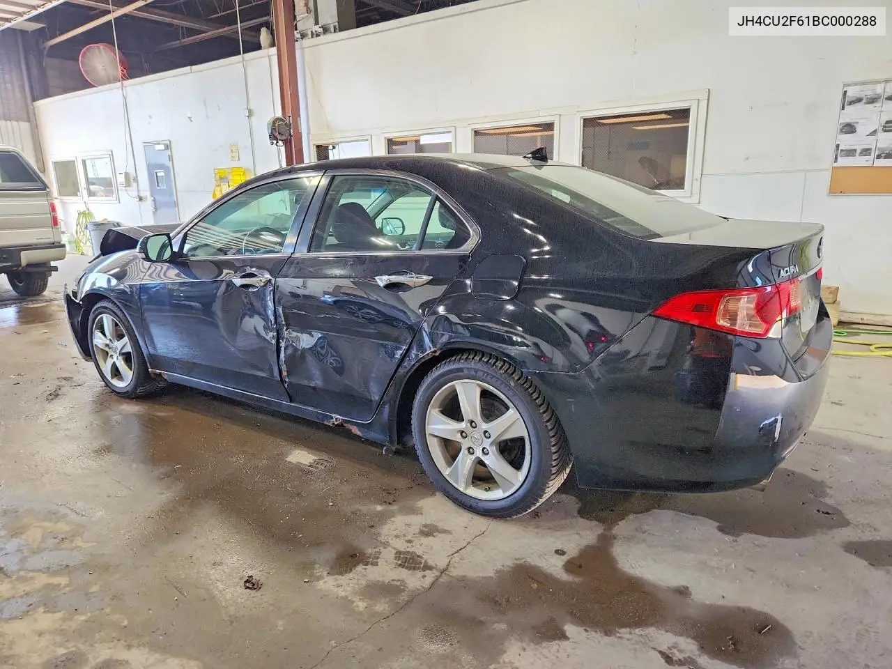 2011 Acura Tsx VIN: JH4CU2F61BC000288 Lot: 61308126