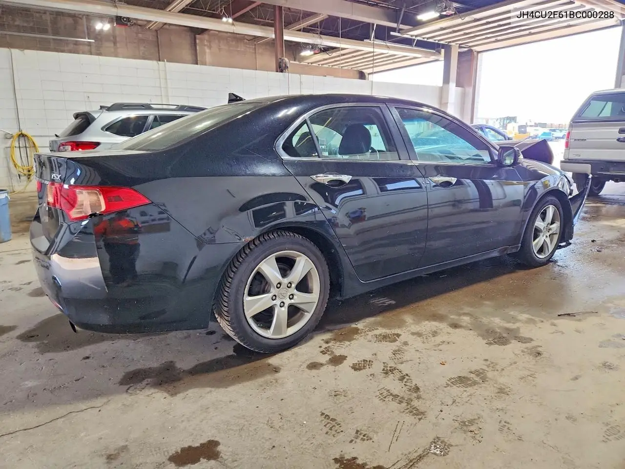 2011 Acura Tsx VIN: JH4CU2F61BC000288 Lot: 61308126