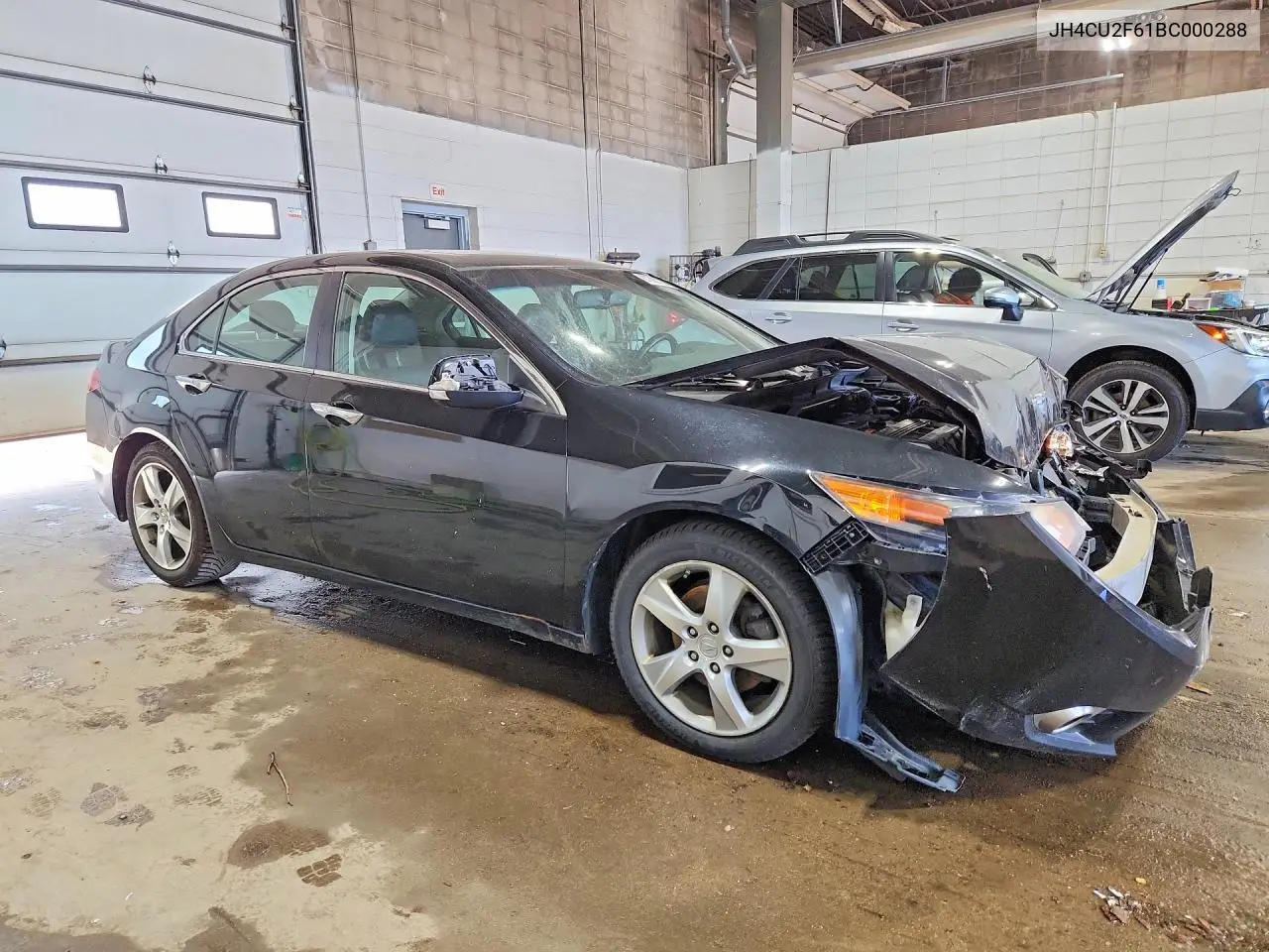2011 Acura Tsx VIN: JH4CU2F61BC000288 Lot: 61308126