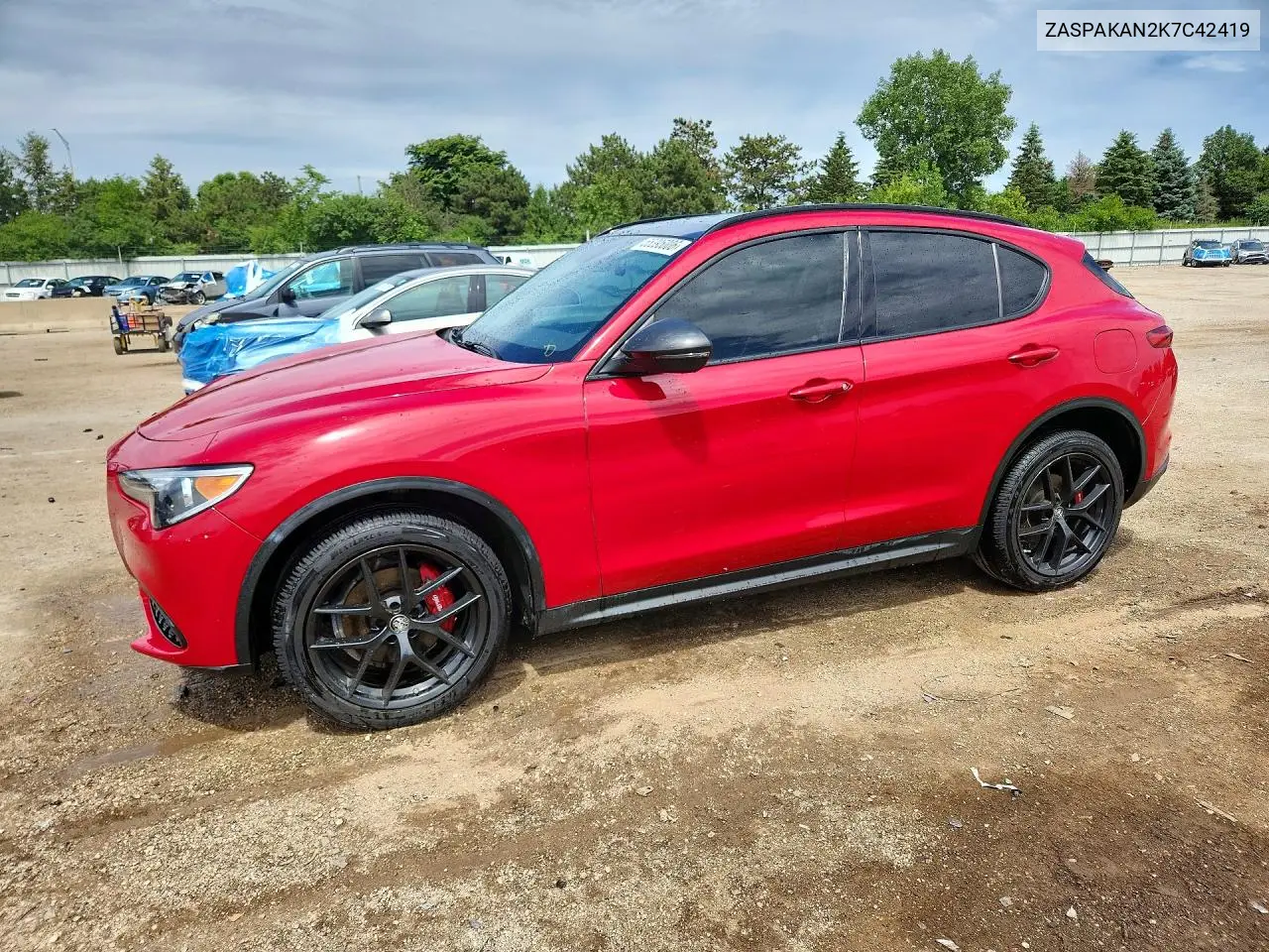 2019 Alfa Romeo Stelvio VIN: ZASPAKAN2K7C42419 Lot: 55395006