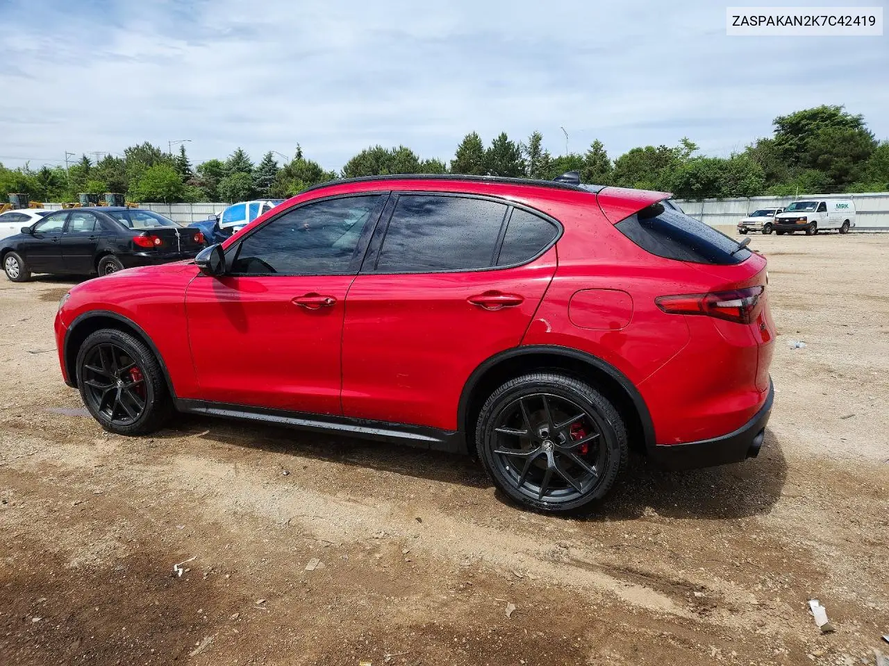 2019 Alfa Romeo Stelvio VIN: ZASPAKAN2K7C42419 Lot: 55395006
