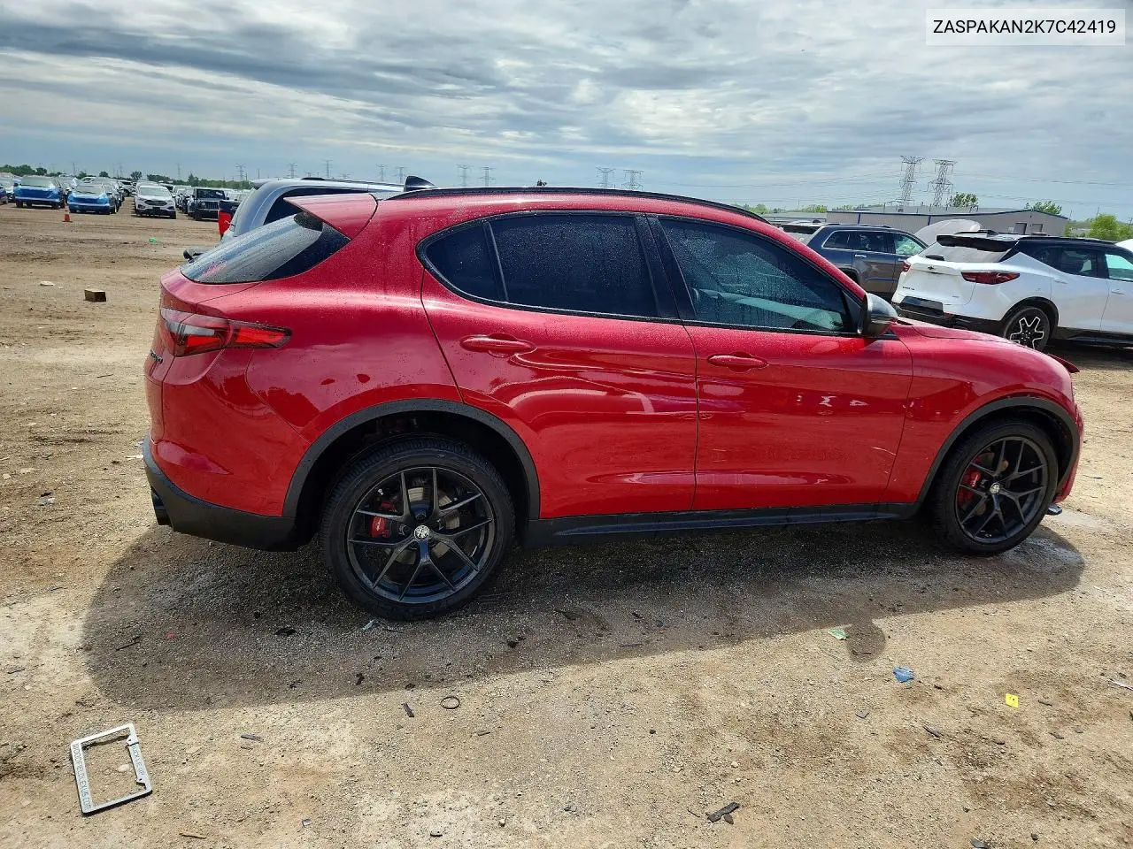 2019 Alfa Romeo Stelvio VIN: ZASPAKAN2K7C42419 Lot: 55395006