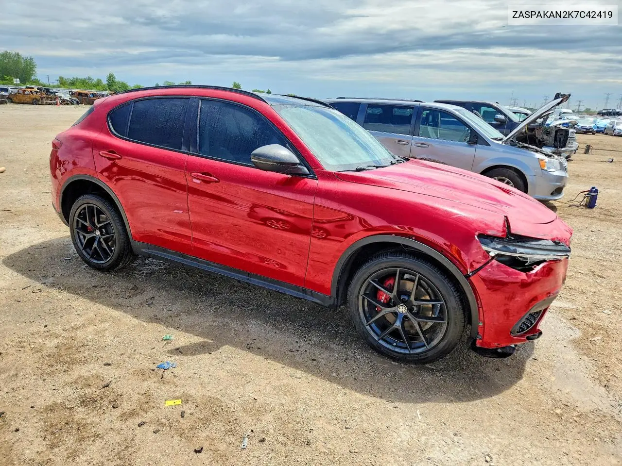 2019 Alfa Romeo Stelvio VIN: ZASPAKAN2K7C42419 Lot: 55395006