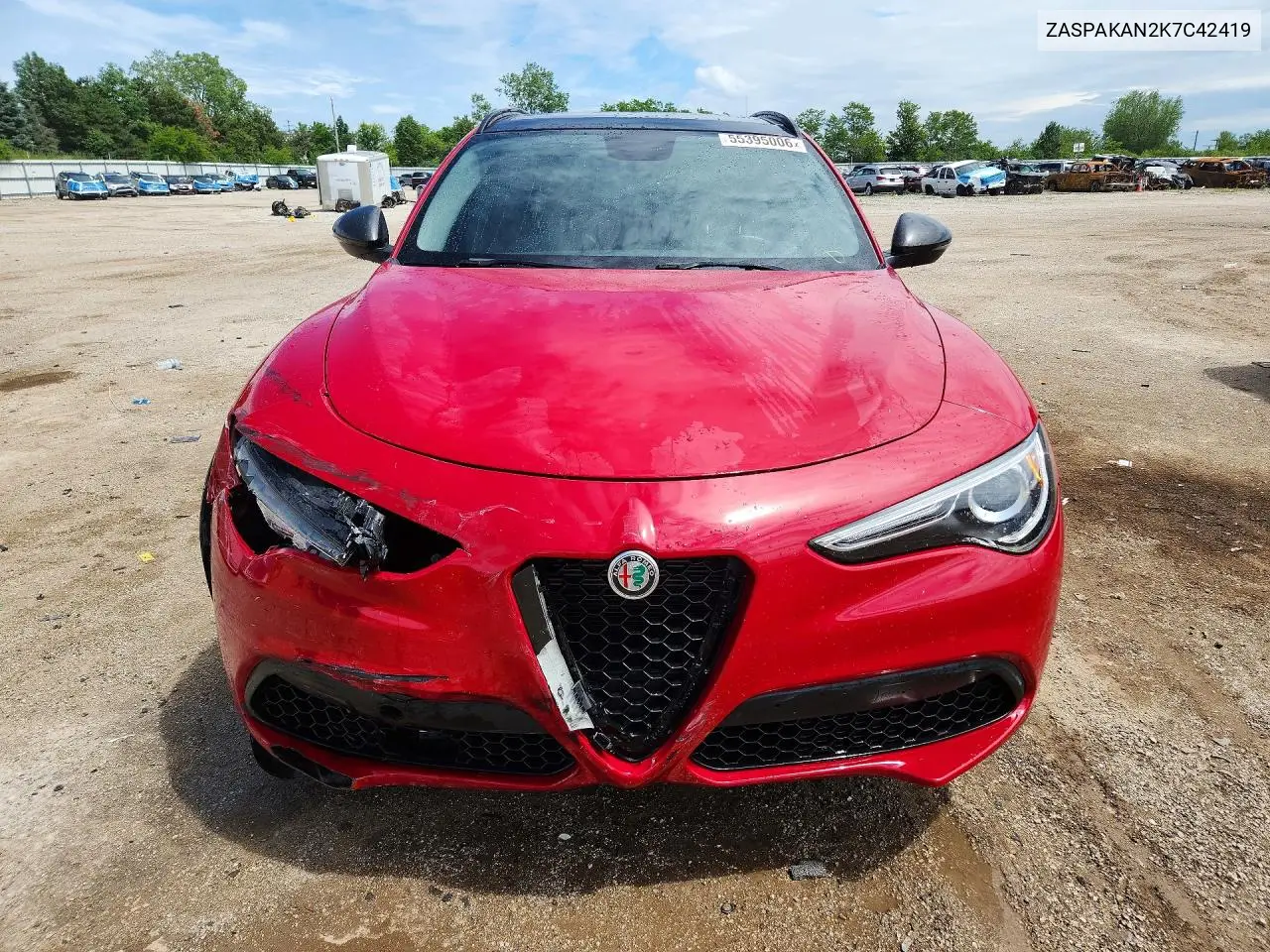 2019 Alfa Romeo Stelvio VIN: ZASPAKAN2K7C42419 Lot: 55395006